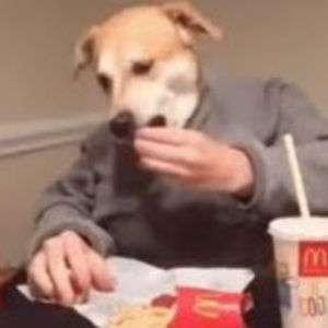 Meet your Posher, Chantel